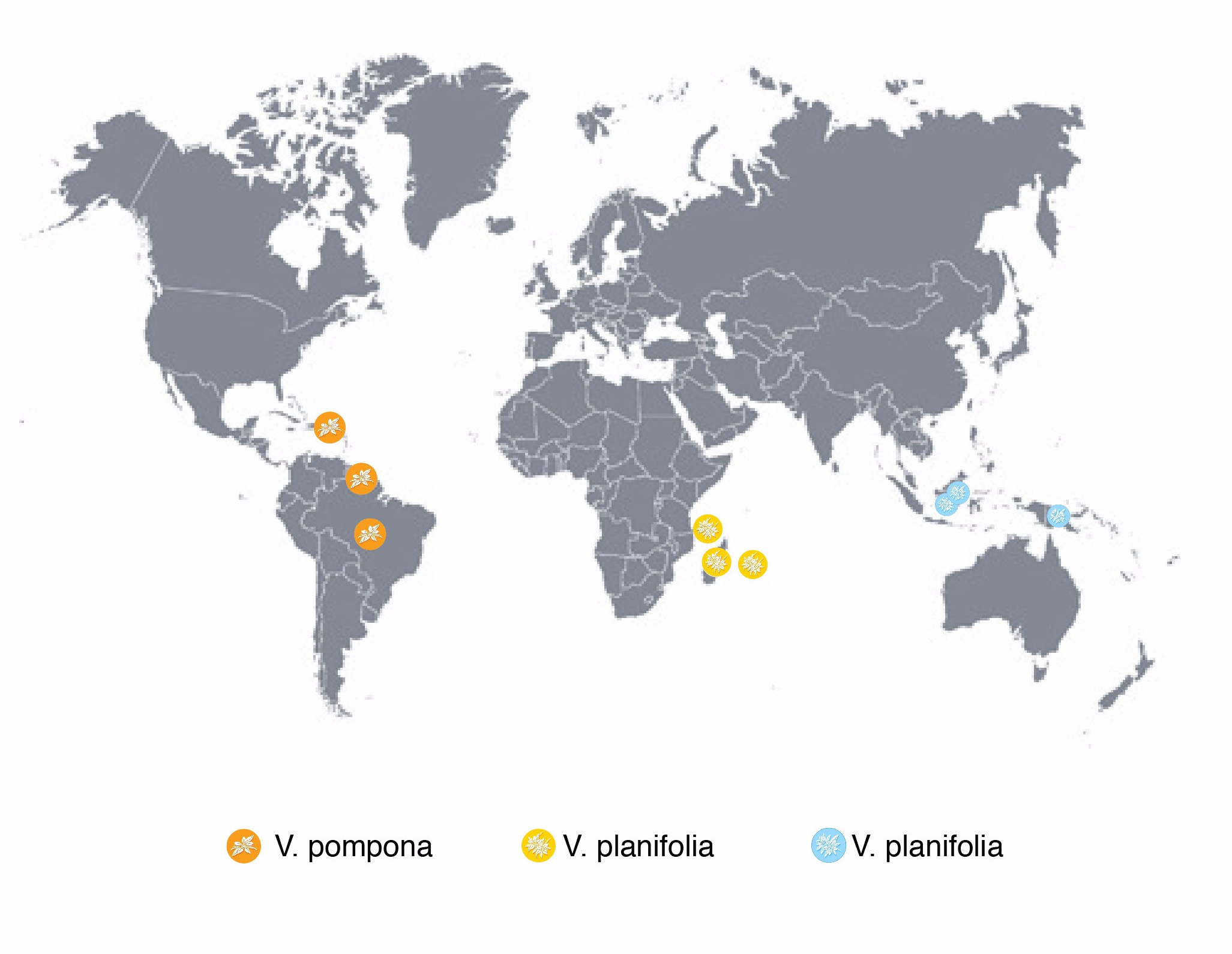 simple_world_maps_vector_578783-01